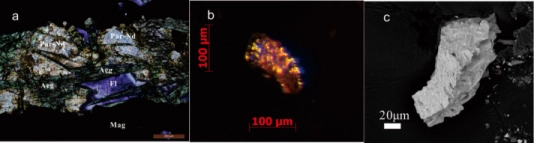 我国科研人员发现两种新矿物——“氟碳钙钕矿”“菊兴铜矿”