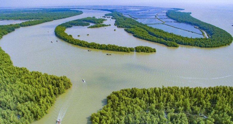 中国划定陆域生态保护红线面积约304万平方公里