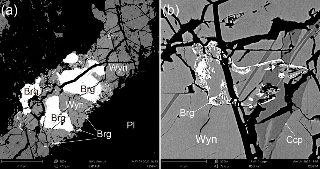 广州地化所发现富钯的铂族新矿物——王焰钯矿