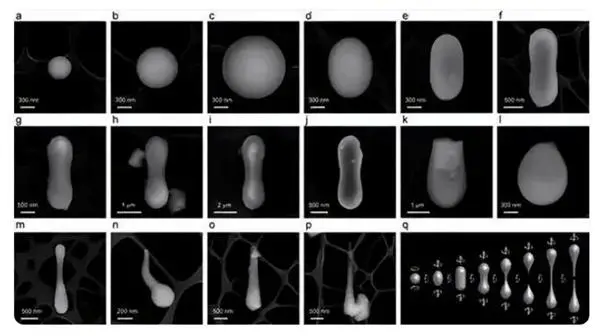 俄在中国采集月壤中发现不寻常晶体：类似金属铁线状 