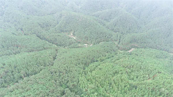 共计超27亿元！1.89亿方！广东江门年产800万方砂石矿挂牌