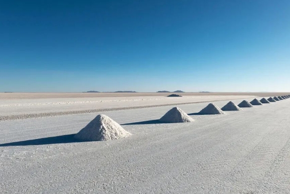 亚洲第一大锂辉石单脉招标结束，究竟花落谁家？