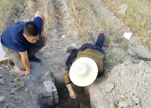 重大突破！新疆南疆发现一条近千公里“硒腰带”！