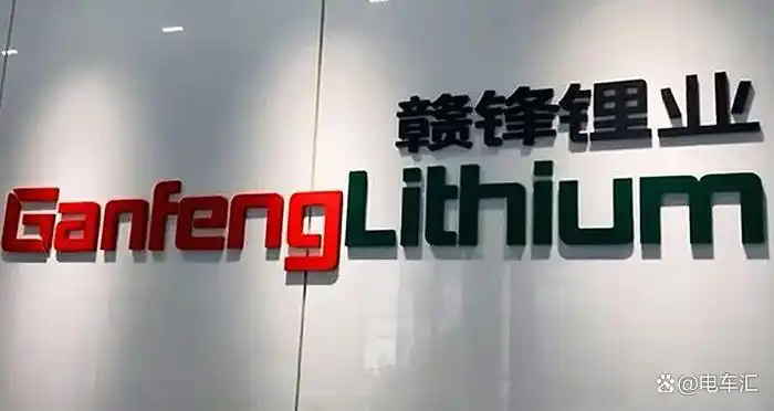 锂矿资源“全掌控”！赣锋锂业100%控股Mali Lithium