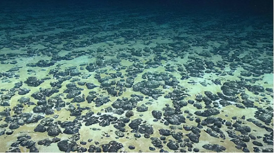 各国纷纷出手！矿产博弈新阵地竟在这里？