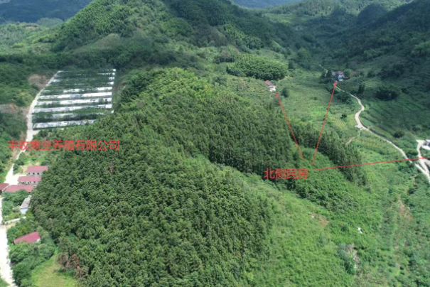 21.1亿元！990万吨/年！浙江储量2.2亿吨砂石大矿竞价结束