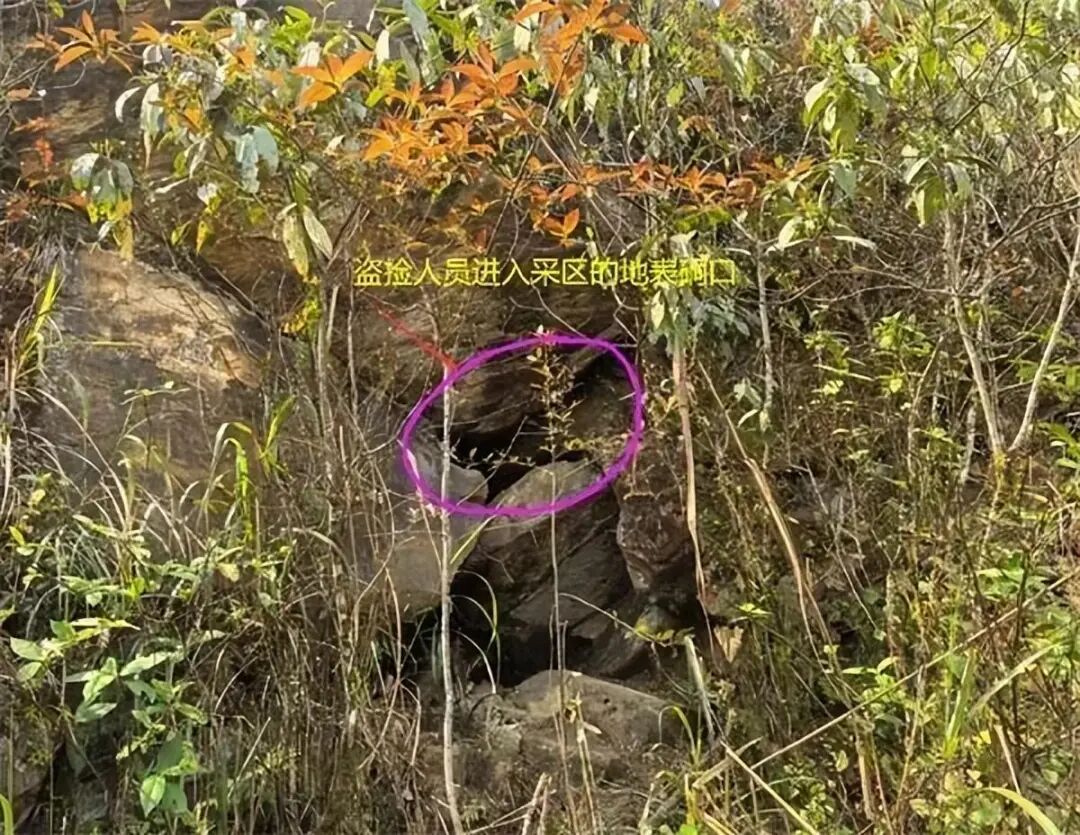 7人盗矿遇险4人被砸身亡！调查报告公布：建议对副县长等多人问责