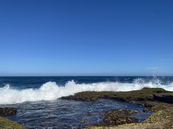 澳大利亚和加拿大加强在关键矿产领域合作
