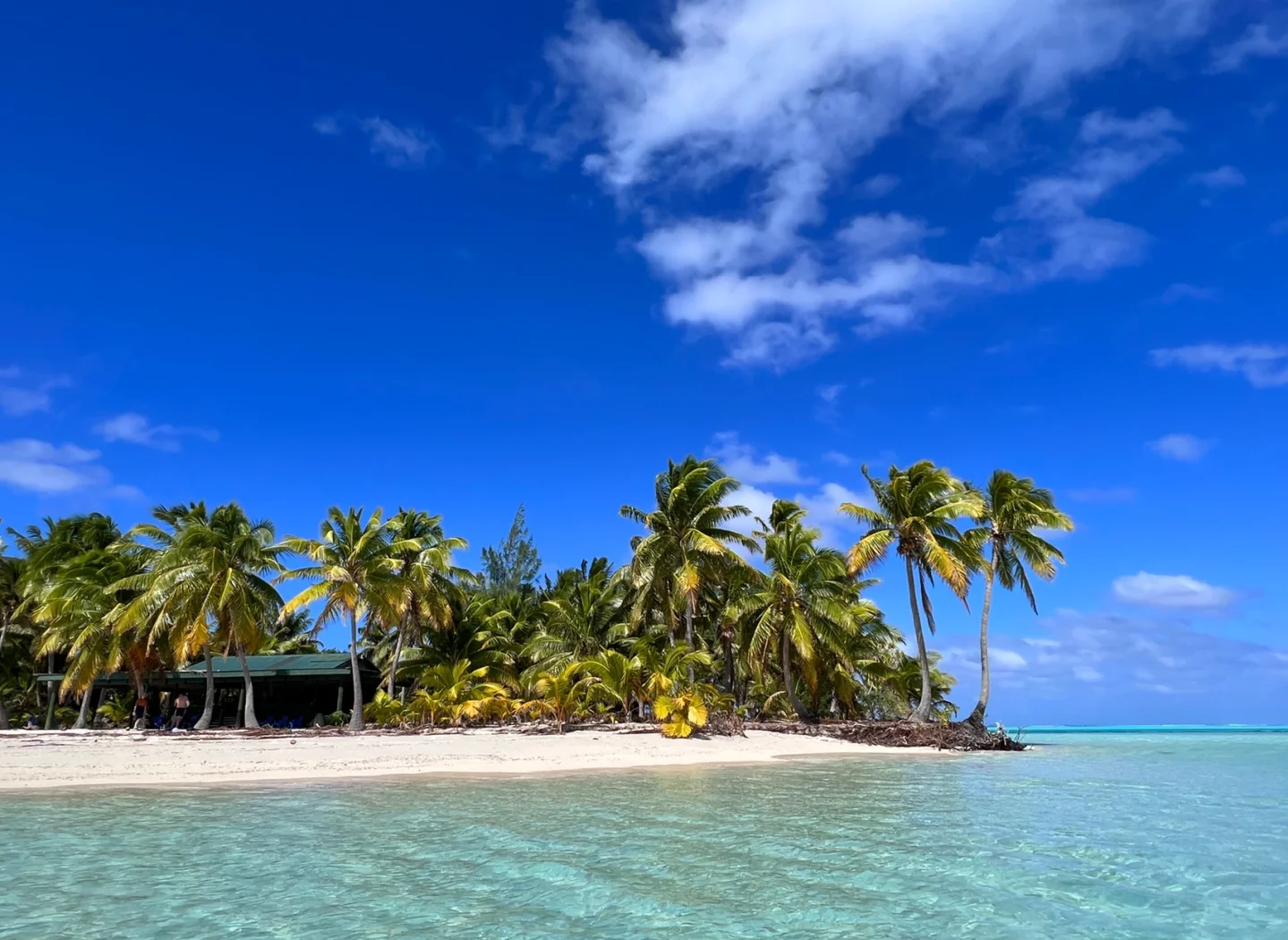 中库首次联合考察航次圆满完成