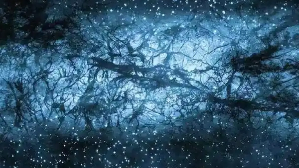 中国科学家证实87年前量子力学预言